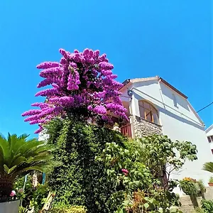 https://apartman-nada-sali.hotelinzadar.com